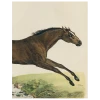 John Derian Decoupage Jumping Horse (p 14)