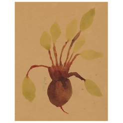 John Derian Beets (p 15) Decoupage