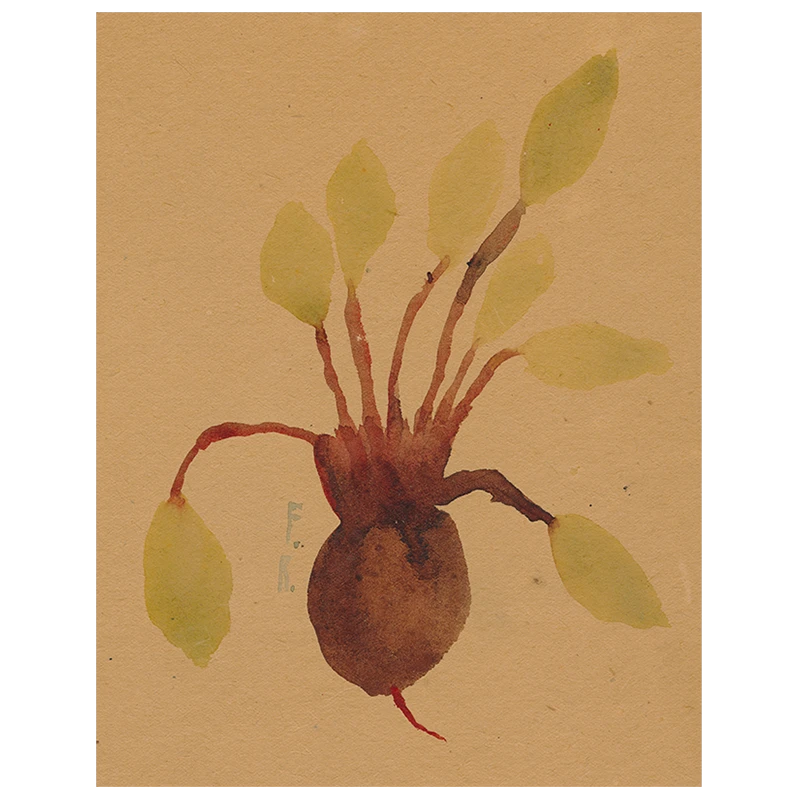 John Derian Beets (p 15) Decoupage 3 John Derian Beets (p 15) Decoupage