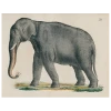 John Derian Decoupage Elephant 76 (p 25) 2 John Derian Decoupage Elephant 76 (p 25)