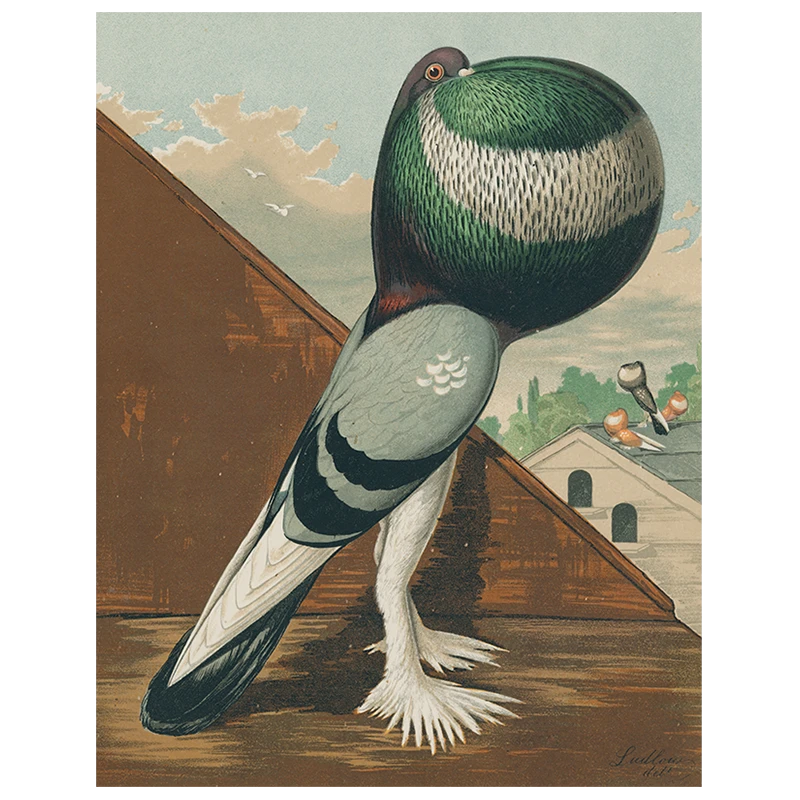 John Derian Decoupage Pouter Cock Pigeon, Green (p 27) 3 John Derian Decoupage Pouter Cock Pigeon, Green (p 27)