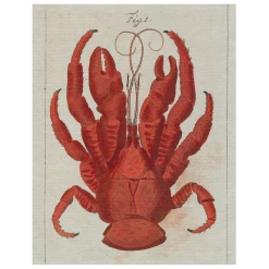 John Derian Lobster Top (p 35) Decoupage