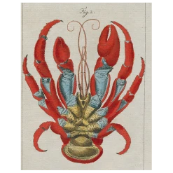 John Derian Lobster Bottom (p 36)