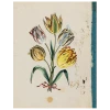 John Derian Tulip Collage (p 43)