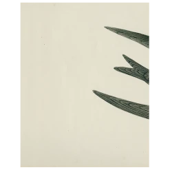 John Derian Swift Bird (Swallow) (p 45) Decoupage