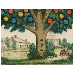 John Derian Tree Of Temperance (p 55)
