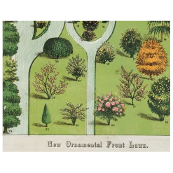 John Derian Ornamental Trees (p 60)