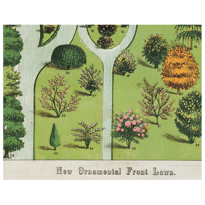 John Derian Ornamental Trees (p 60) 3 John Derian Ornamental Trees (p 60)