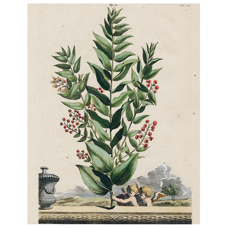 John Derian Decoupage Myrtopetalon (p 61) 3 John Derian Decoupage Myrtopetalon (p 61)