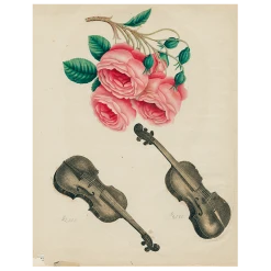 John Derian Decoupage Cascading Roses (p 68)