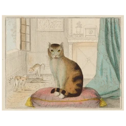 John Derian Decoupage Calm Cat (p 69)
