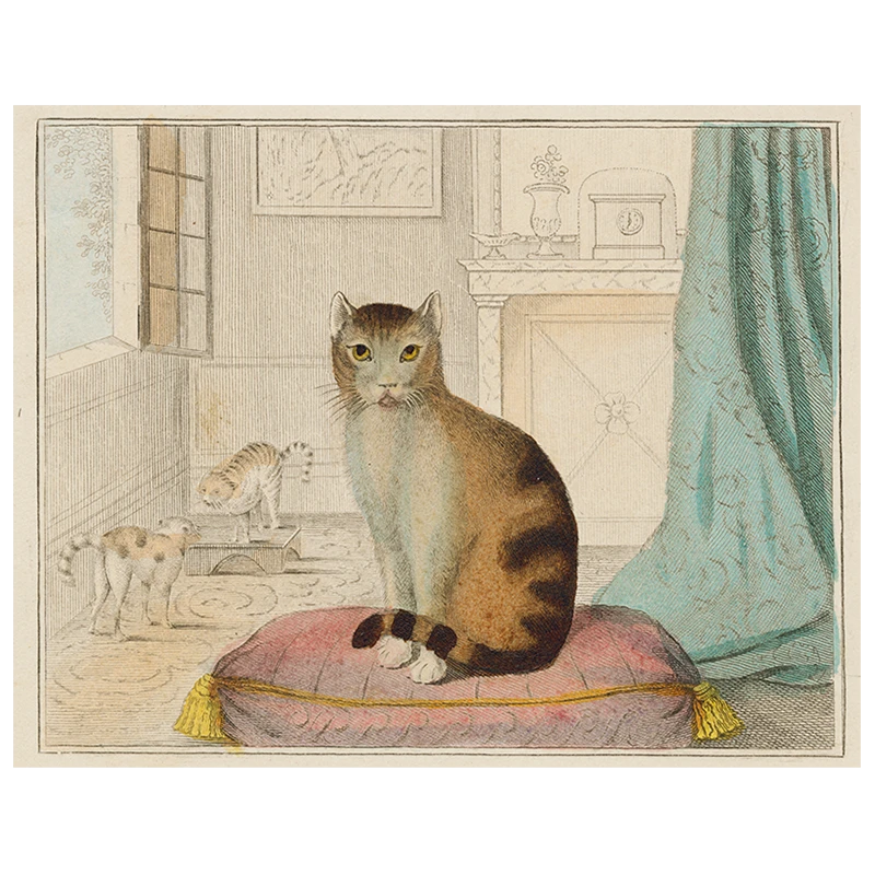 John Derian Decoupage Calm Cat (p 69) 3 John Derian Decoupage Calm Cat (p 69)
