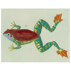 John Derian Decoupage Frog (p 73)