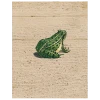 John Derian Frog Prince (p 81) - FINAL SALE Animals 1 John Derian Frog Prince (p 81) - FINAL SALE Animals