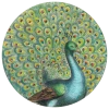 John Derian Peacock Portrait
