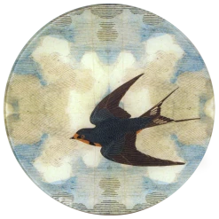 John Derian Swallow In Flight (Flying Left) Decoupage