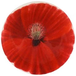 John Derian Wild Rose Poppy (791A)