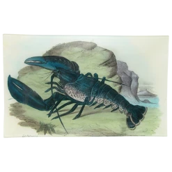 John Derian Blue Lobster