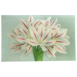 John Derian Brunswigia Massaiana Decoupage