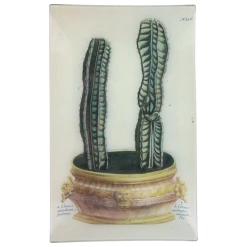 John Derian Decoupage Double Green Cactus