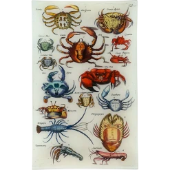 John Derian Crabs IX Decoupage