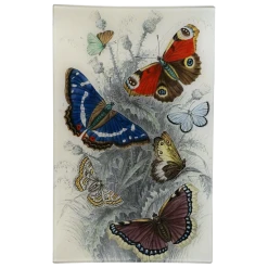 John Derian Dancing Butterflies