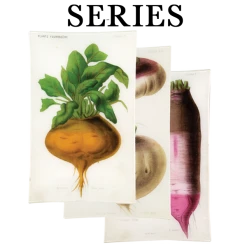 John Derian Decoupage Vegetables