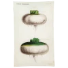 John Derian Decoupage VII - Navet De Hollande (Vegetable)