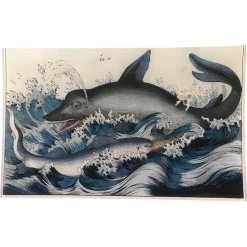 John Derian Frolicking