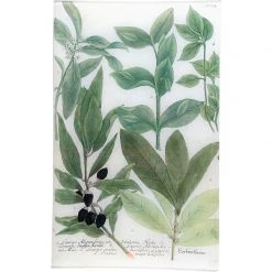 John Derian N. 634 Laurel Decoupage