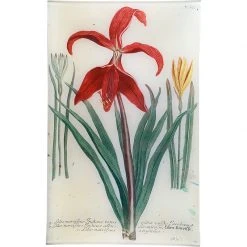 John Derian N. 652 Red Lily Decoupage