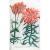 John Derian Decoupage N. 656 Lily