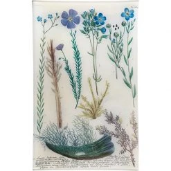 John Derian N. 669 Flax Decoupage