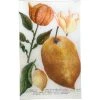 John Derian Decoupage N. 701 Citrus Fruits