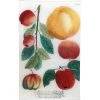 John Derian N. 705 Apples