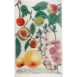 John Derian N. 707 Colorful Apples