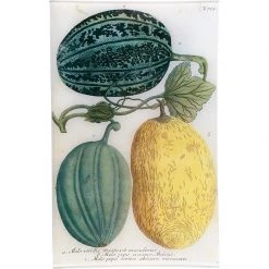 John Derian N. 723 Melons Green & Yellow