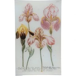 John Derian N. 608 English Iris - FINAL SALE Easter