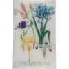 John Derian N. 609 Spanish Iris - FINAL SALE