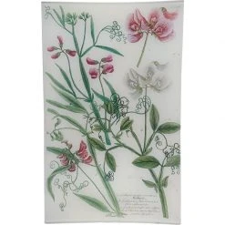 John Derian N. 628 Angled Pea