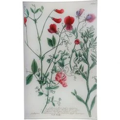 John Derian N. 629 Tangier Pea Decoupage