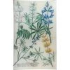 John Derian Decoupage N. 674 Lupine