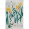 John Derian N. 746 Daffodil Decoupage