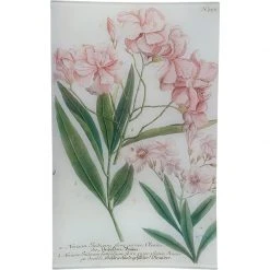 John Derian N. 755 Oleander Decoupage
