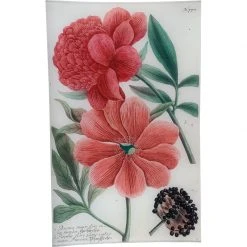 John Derian N. 778 Red Peony Decoupage