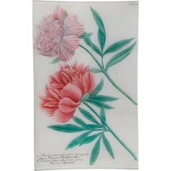 John Derian Decoupage N. 779 Peony