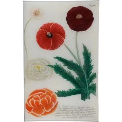 John Derian N. 788 Dark Red Poppy