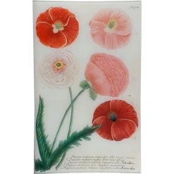 John Derian Decoupage N. 790 Pink Poppy