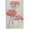 John Derian N. 792 Red Trim Poppy Decoupage