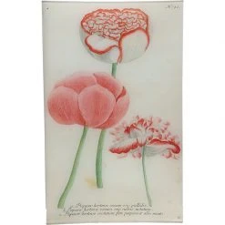 John Derian N. 792 Red Trim Poppy Decoupage